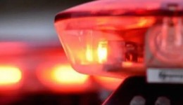 Veículo é apreendido com 308 garrafas de vinho em operação conjunta