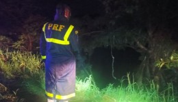 Criança morre e pai desaparece após caminhão sair da pista e cair em represa