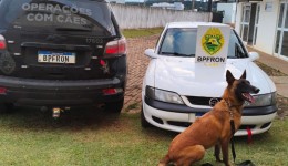 Homem é preso com cocaína durante operação do BPFRON
