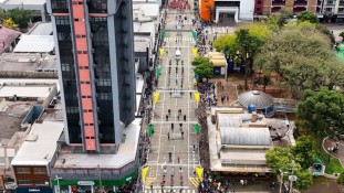 Desfile da Independência destaca diversidade e atuação das instituições