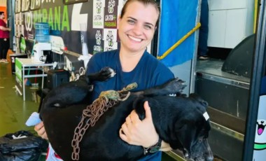 Mutirão do programa Castra + Paraná realiza cerca de 220 castrações em Santa Izabel do Oeste