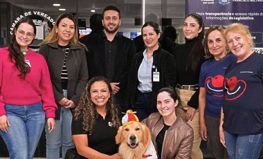Lei garante cães terapeutas em ambientes de saúde