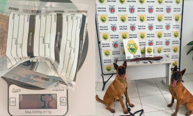 Ação integrada cumpre mandados e apreende armas e drogas na cidade