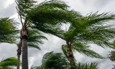 Defesa Civil do Paraná alerta sobre ventos acima de 80 km/h e riscos de destelhamentos e queda de árvores; veja previsão do tempo