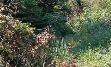 Corpo em estado de decomposição é encontrado