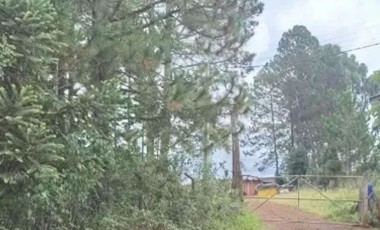 Polícia Civil identifica mãe de recém-nascido encontrado morto em Clevelândia