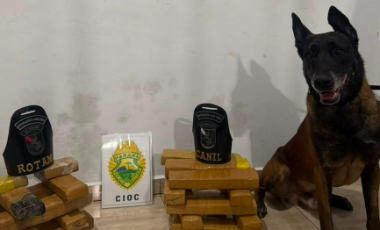 PMPR apreende mais de 730 quilos de drogas e 92 celulares em ações com cães policiais