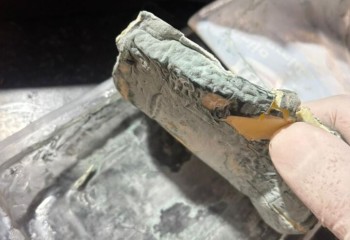 Vigilância Sanitária divulga balanço das fiscalizações realizadas em fevereiro