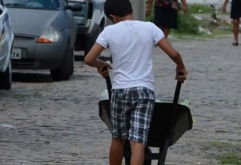 Brasil registra 1,6 milhão de crianças e adolescentes em situação de trabalho infantil