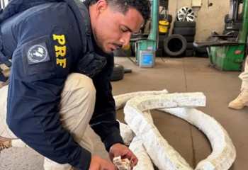 PRF apreende 3,2 mil ampolas de medicamentos para emagrecimento escondidas em pneus de carro no Paraná