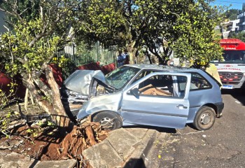Homem fica ferido após colidir carro em árvore