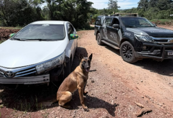Toyota Corolla avaliado em R$ 90 mil é recuperado após alerta de furto