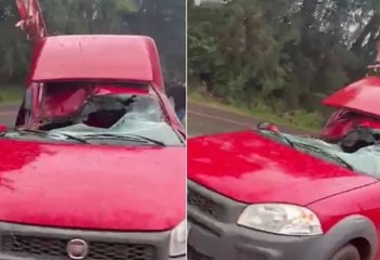 Árvore cai sobre carro durante vendaval na PR-473