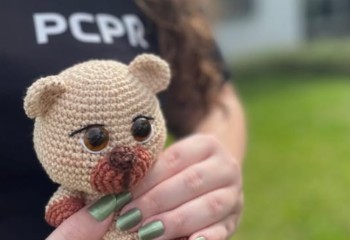 Foragido condenado a 51 anos por estupro de vulnerável é preso