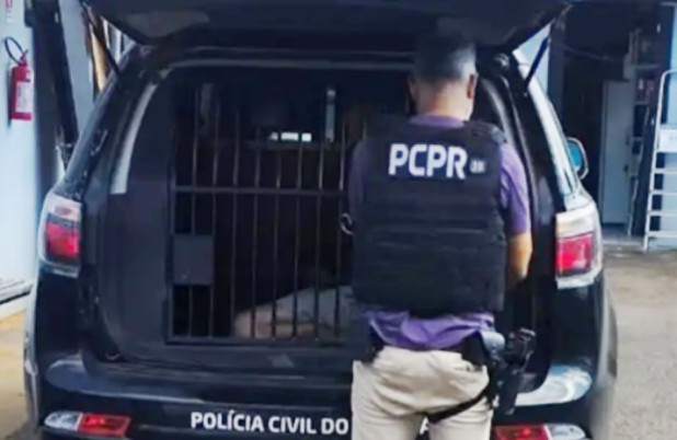 Polícia Civil prende homens por furto e receptação de portas de alumínio