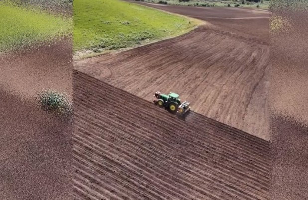 Palmas é destaque em novas tendências na produção de batatas