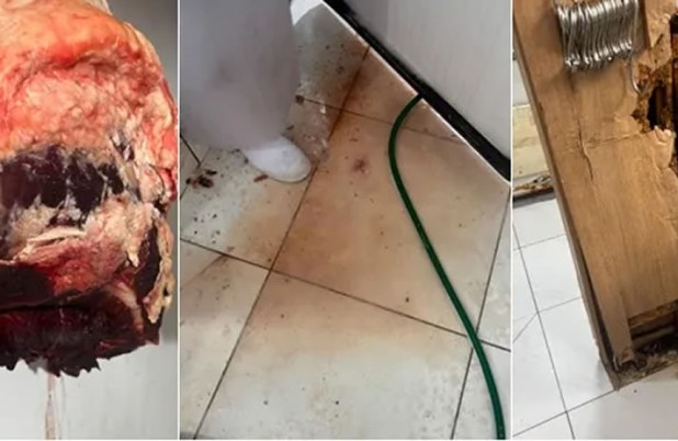 Vigilância Sanitária intensifica fiscalização e já soma 63 processos