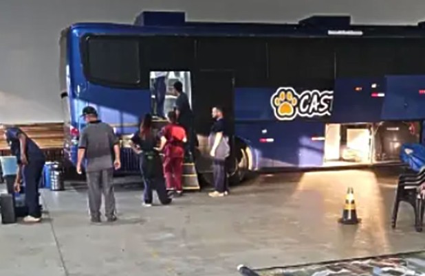 Castrapet Paraná realiza castrações de cães e gatos em Francisco Beltrão nesta quinta e sexta