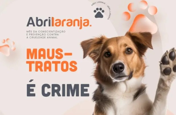 Ações de conscientização contra maus-tratos a animais são realizadas