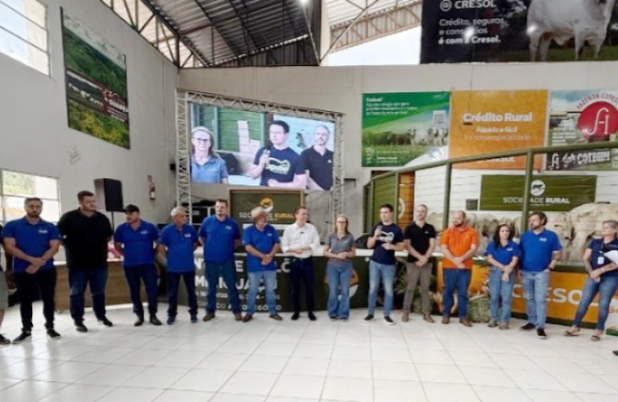 Leilão de terneiros na Expobel ultrapassa R$ 3,5 milhões em negócios