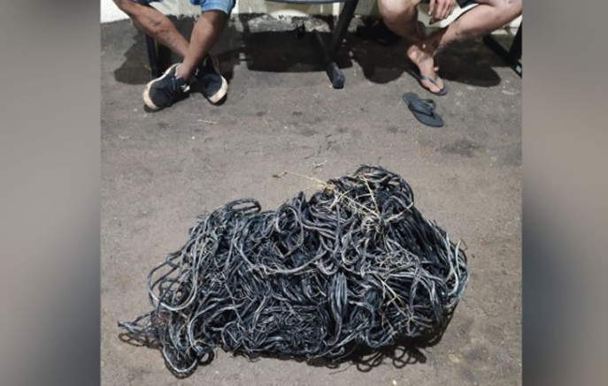 Polícia Militar prende dois homens por receptação de fios de energia furtados
