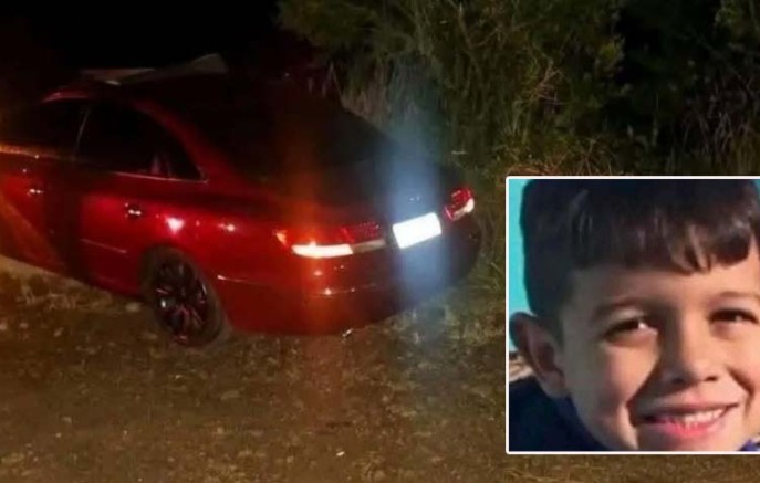 Menino de 10 anos morre após carro atingir cavalos na PR-456, no Paraná
