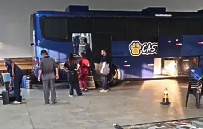 Castrapet Paraná realiza castrações de cães e gatos em Francisco Beltrão nesta quinta e sexta