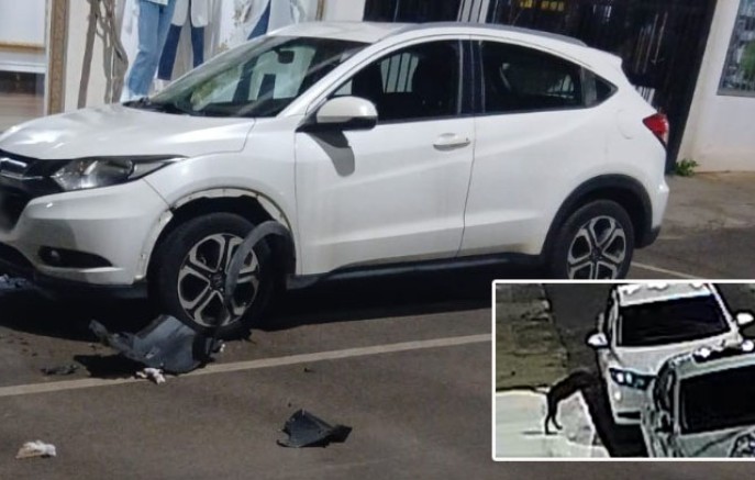 Cachorro é flagrado danificando veículo durante a madrugada