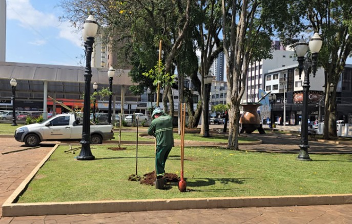 Dia da Árvore tem distribuição de mudas e ações ambientais