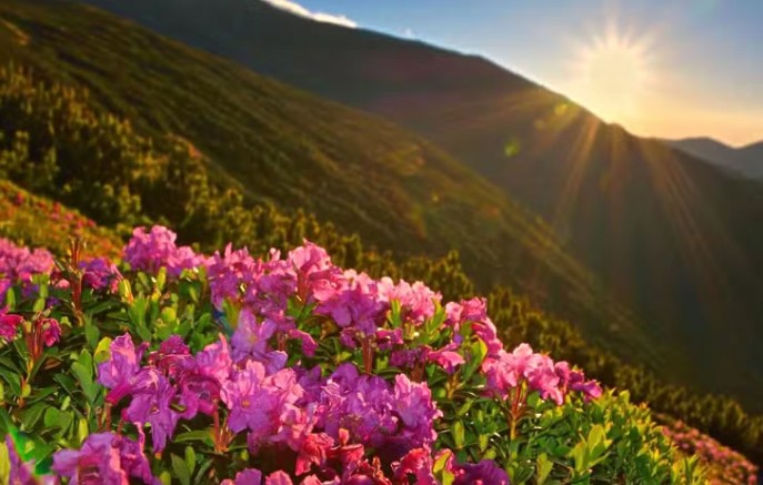Primavera começa amanhã com El Niño forte; veja o que esperar
