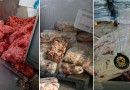 Operação interdita frigorífico e lacra depósito por suspeita de fraude alimentar no Oeste de Santa Catarina