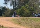 Menina de 8 anos morre atropelada por carro na PR-481