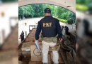 PRF realiza apreensão de grande quantidade de cigarros contrabandeados em Realeza