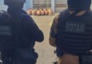 Policiais Penais e ROTAM realizam operação de bate-grade na Penitenciária Estadual de Francisco Beltrão