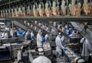 Com números recordes, Paraná lidera aumento da produção de frangos, suínos e ovos em 2023
