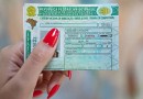 Ratinho Junior sanciona lei que reduz em 55% custo dos exames da CNH