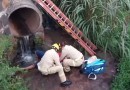 Homem sofre queda ao pescar no Rio Lonqueador