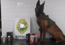 Apreensão de cigarros eletrônicos e produtos à base de maconha são presos pela BPFron em ônibus na BR-277