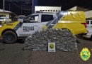 Polícia Militar apreende veículo com 400 quilos de maconha na PRC-280