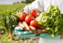 Prefeitura cadastra agricultores familiares para aquisição de alimentos