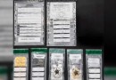 Três pessoas são presas por tráfico de drogas