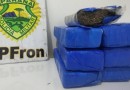 Polícia Militar apreende menor com quase 5kg de maconha em ônibus interestadual