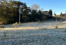 15 cidades com temperatura abaixo de zero e -5,3°C: 13 de agosto foi o dia mais frio do ano