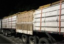 ROTAM apreende carga de cigarros contrabandeados