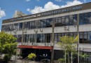 Secretaria de Saúde de Francisco Beltrão investiga caso suspeito de febre amarela em macaco