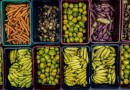Paraná fortalece agricultura familiar e amplia uso de produtos orgânicos na merenda escolar