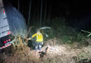 Motorista fica ferido após caminhão sair da pista na PR-182