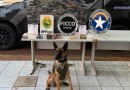 Carga milionária de iPhones é apreendida em fundo falso de caminhão no Paraná