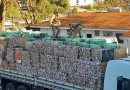 Quase 3 mil quilos de maconha são apreendidos pela Polícia