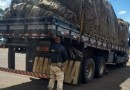 PRF flagra caminhão com arqueamento de altura perigosa